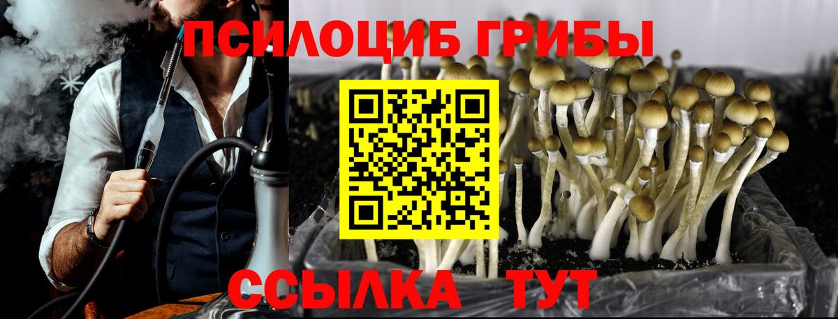 Гудермес  Галлюциногенные грибы Magic Shrooms  Вход с VPN 
