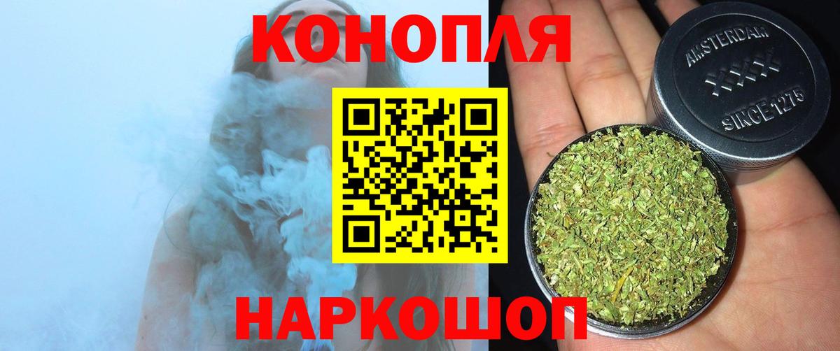 Канабис семена Гудермес